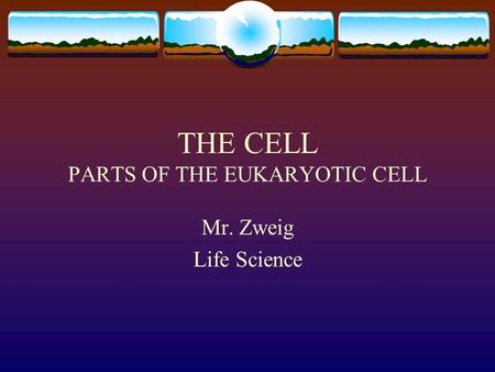 THE CELL PARTS OF THE EUKARYOTIC CELL Mr. Zweig Life Science.