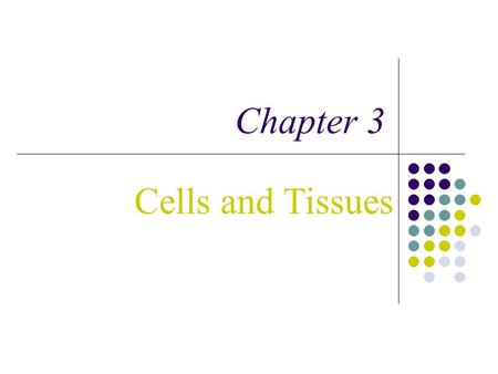 Chapter 3 Cells and Tissues.  Carry out all chemical activities needed to sustain life  Cells are the building blocks of all living things  Tissues.