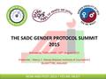 THE SADC GENDER PROTOCOL SUMMIT 2015 Botswana, Tlotlo Hotel, 10 th August 2015 Presenter : Mercy C. Manja (Malawi Institute of Journalism) BLANYTYRE, MALAWI.