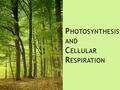 Chapter 8 and 9 P HOTOSYNTHESIS AND C ELLULAR R ESPIRATION.