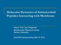 Molecular Dynamics of Antimicrobial Peptides Interacting with Membrane Assoc. Prof. Lea Thøgersen Bioinformatic Research Centre Aarhus University DanCARD.