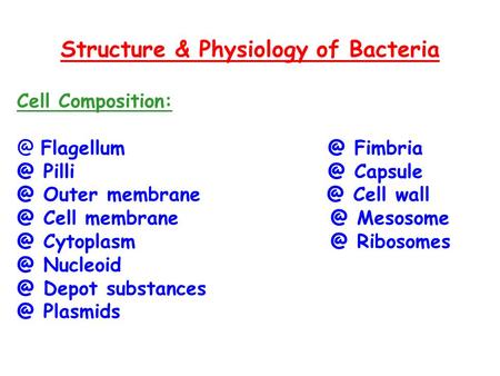 Structure & Physiology of Bacteria