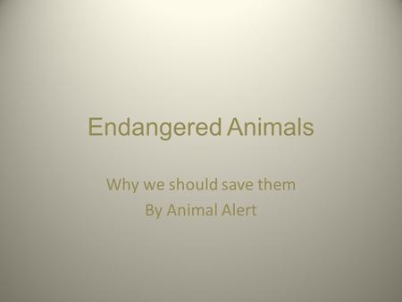 Endangered Animals Why we should save them By Animal Alert.