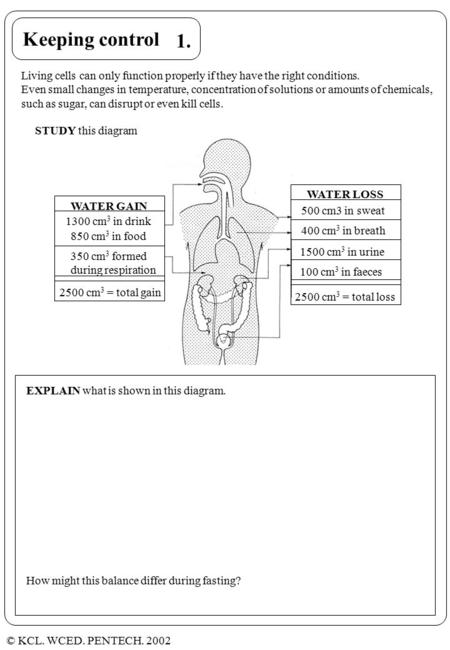 © KCL. WCED. PENTECH. 2002 Keeping control STUDY this diagram EXPLAIN what is shown in this diagram. How might this balance differ during fasting? 1. Living.