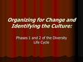 Organizing for Change and Identifying the Culture: Phases 1 and 2 of the Diversity Life Cycle.