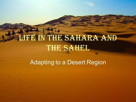 Life in the Sahara and the Sahel