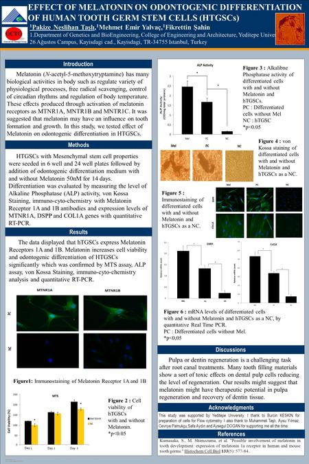 TEMPLATE DESIGN © 2008 www.PosterPresentations.com Introduction Methods References Results EFFECT OF MELATONIN ON ODONTOGENIC DIFFERENTIATION OF HUMAN.