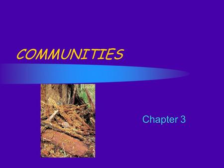 Chapter 3 COMMUNITIES. A. Community All populations of organisms living in a defined area. Habitat - the physical place where an organism lives. What.