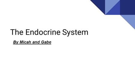 The Endocrine System By Micah and Gabe. What is the Endocrine System? The endocrine system is a series of glands across your body responsible for producing.