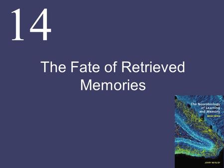 14 The Fate of Retrieved Memories. Chapter Goals Under some conditions, retrieving or reactivating a consolidated memory can return it to an active, labile.