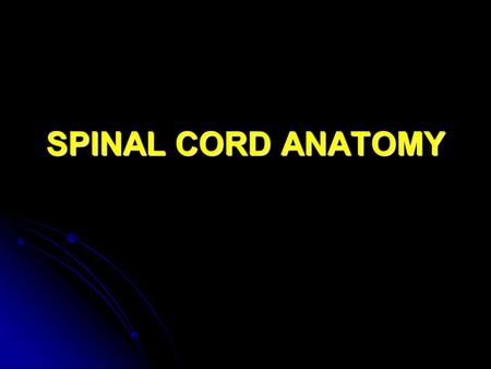 SPINAL CORD ANATOMY. General Characteristics Approx. ½ meter in length. Approx. ½ meter in length. Varies from 1 to 1.5 cm in diameter. Varies from 1.