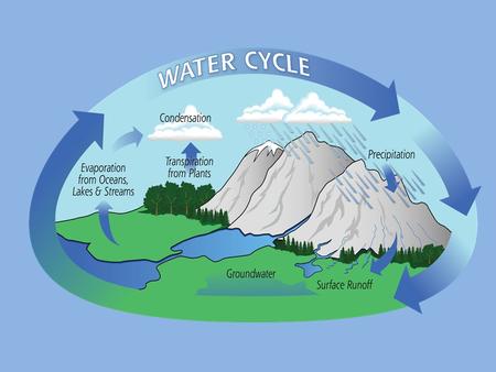 Z. The water cycle involves three major processes: evaporation, condensation, and precipitation. condensation: The process by which a gas changes into.