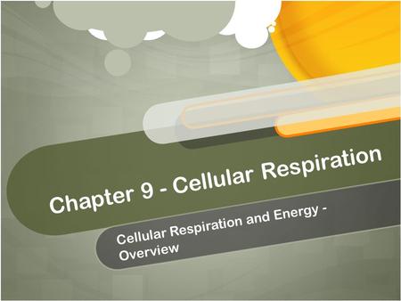 Chapter 9 - Cellular Respiration Cellular Respiration and Energy - Overview.