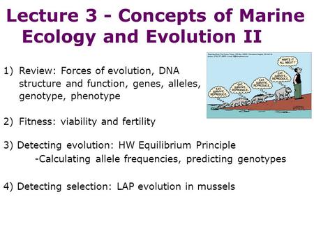 Lecture 3 - Concepts of Marine Ecology and Evolution II 3) Detecting evolution: HW Equilibrium Principle -Calculating allele frequencies, predicting genotypes.