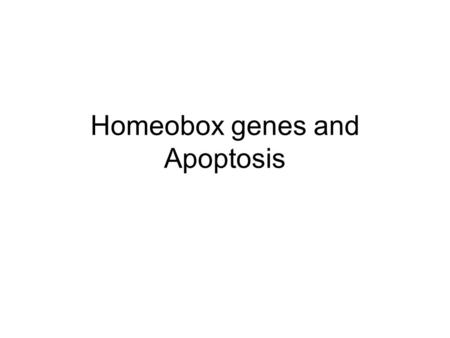 Homeobox genes and Apoptosis