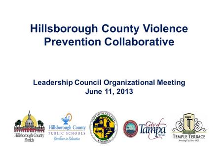 Hillsborough County Violence Prevention Collaborative Leadership Council Organizational Meeting June 11, 2013.