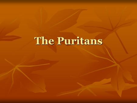 The Puritans. Who were the Puritans? Puritans were a branch of the Protestant church Puritans were a branch of the Protestant church Their movement began.