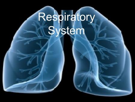 Respiratory System Functions To provide conducting passageways to allow oxygen to be used in the body to release energy Purifies, humidifies, and warms.