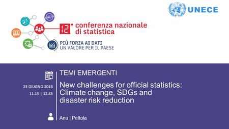 ROMA 23 GIUGNO 2016 AREA TEMATICA 2. TEMI EMERGENTI New challenges for official statistics: Climate change, SDGs and disaster risk reduction TEMI EMERGENTI.