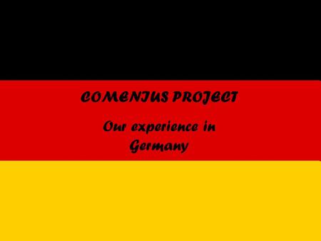 COMENIUS PROJECT Our experience in Germany. The Italian Group.