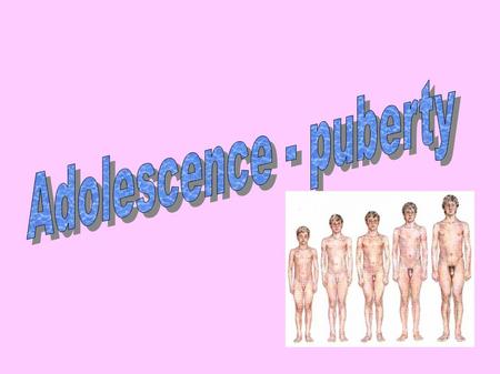 Adolescence - puberty.