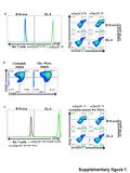 CFSE B16-ova Annexin V 7AAD +Th17 TGF-  1 +Th17 IL-1  +Th17 TGF-  1 +Th17 IL-1  No T cells a EL-4 B16-ova EL-4 CFSE gated Supplementary figure 1 CD25.