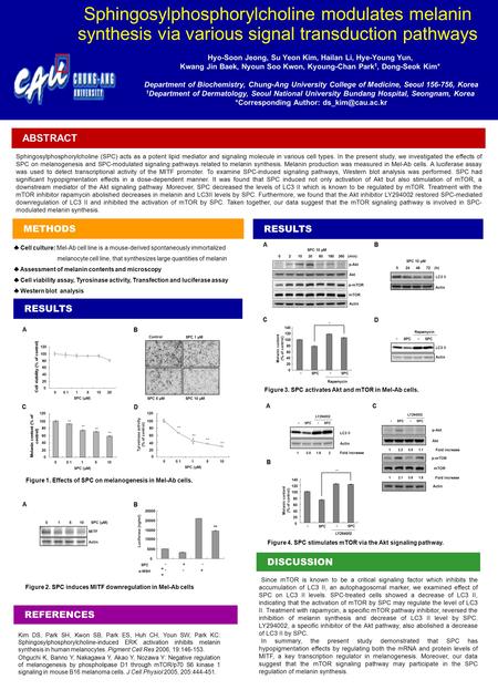 Hyo-Soon Jeong, Su Yeon Kim, Hailan Li, Hye-Young Yun, Kwang Jin Baek, Nyoun Soo Kwon, Kyoung-Chan Park 1, Dong-Seok Kim* Department of Biochemistry, Chung-Ang.
