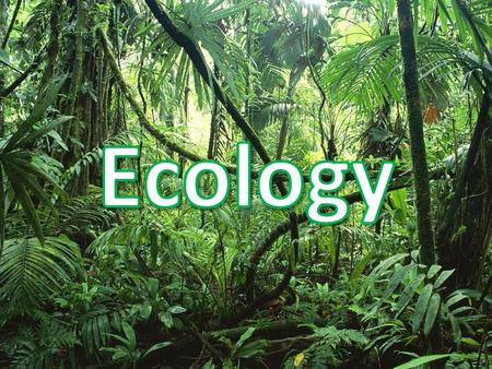 Ecology Ecology is the study of interactions between living things and their environment Remember that Ecosystems have both living and nonliving factors: