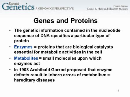 1 Genes and Proteins The genetic information contained in the nucleotide sequence of DNA specifies a particular type of protein Enzymes = proteins that.