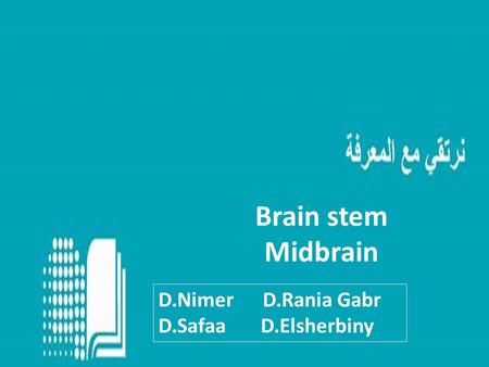 Brain stem Midbrain D.Nimer D.Rania Gabr D.Safaa D.Elsherbiny.