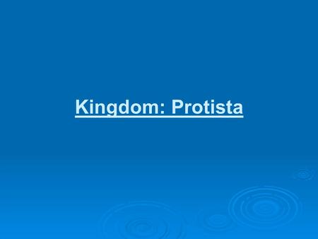 Kingdom: Protista. Phylum: Protista Eukaryotic Most are unicellular “Pond water critters”