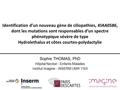 Sophie THOMAS, PhD Hôpital Necker - Enfants Malades Institut Imagine - INSERM UMR 1163 Identification d’un nouveau gène de ciliopathies, KIAA0586, dont.