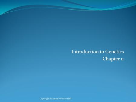 Introduction to Genetics Chapter 11 Copyright Pearson Prentice Hall.