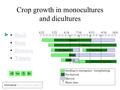 Crop growth in monocultures and dicultures Basil Bean Brassica Tomato 4/235/216/187/168/139/1010/8 Tomato Basil 1st Bean2nd Bean Clover Radish Brussels.