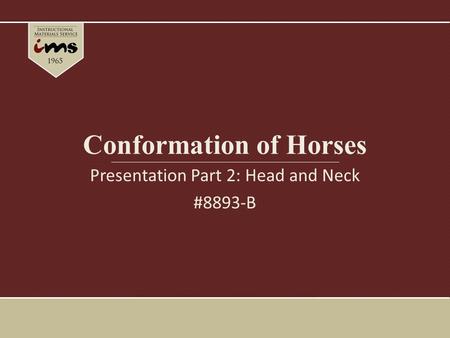 Conformation of Horses