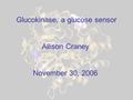 Glucokinase, a glucose sensor Allison Craney November 30, 2006.