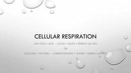 Cellular respiration C6H12O6 + 6O2 → 6CO2 + 6H2O + Energy (as ATP) Or