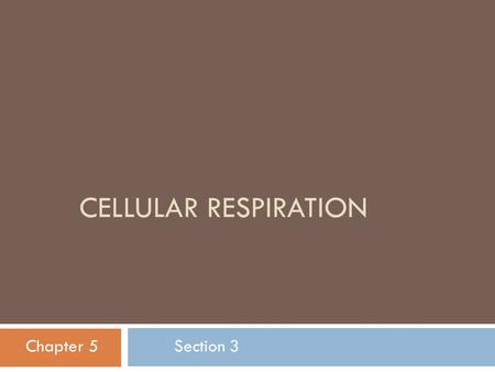 CELLULAR RESPIRATION Chapter 5 Section 3. Cellular Respiration  Occurs in all organisms when Oxygen is available.  Converts Food Energy  ATP  Two.