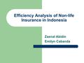 Efficiency Analysis of Non-life Insurance in Indonesia Zaenal Abidin Emilyn Cabanda.