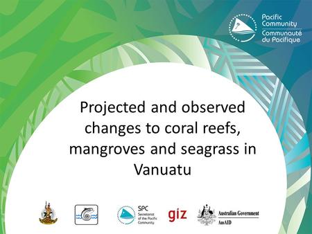 Projected and observed changes to coral reefs, mangroves and seagrass in Vanuatu.