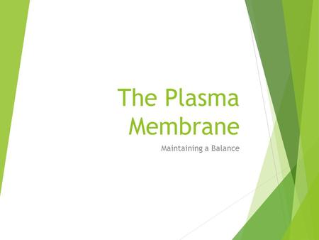 The Plasma Membrane Maintaining a Balance. The Plasma Membrane  The plasma membrane is a SELECTIVELY PERMEABLE membrane that allows nutrients and wastes.