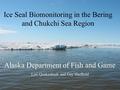 Alaska Department of Fish and Game Lori Quakenbush and Gay Sheffield Ice Seal Biomonitoring in the Bering and Chukchi Sea Region.