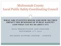 WHAT ARE FUGITIVE HOLDS AND HOW DO THEY IMPACT THE BUSINESS OF PUBLIC SAFETY? (AND WHAT CAN WE DO ABOUT IT?) DATA PRESENTATION AND ANALYSIS SEPTEMBER 11.