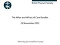 Working for healthier lungs The Whys and Whats of Care Bundles 23 November 2012.