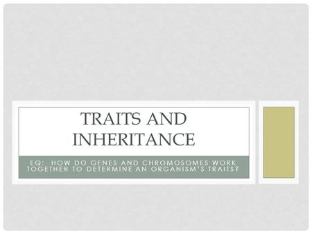 EQ: HOW DO GENES AND CHROMOSOMES WORK TOGETHER TO DETERMINE AN ORGANISM’S TRAITS? TRAITS AND INHERITANCE.