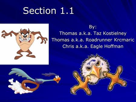 Section 1.1 By: Thomas a.k.a. Taz Kostielney Thomas a.k.a. Roadrunner Krcmaric Chris a.k.a. Eagle Hoffman.