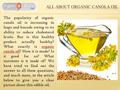 The popularity of organic canola oil is increasing in leaps and bounds owing to its ability to reduce cholesterol levels. But is this healthy product actually.