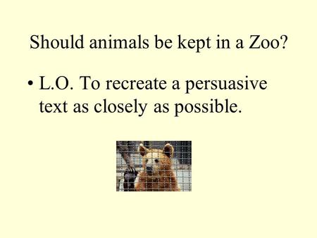 Should animals be kept in a Zoo?