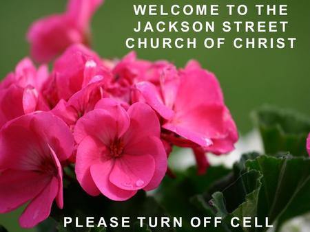 WELCOME TO THE JACKSON STREET CHURCH OF CHRIST PLEASE TURN OFF CELL PHONES.