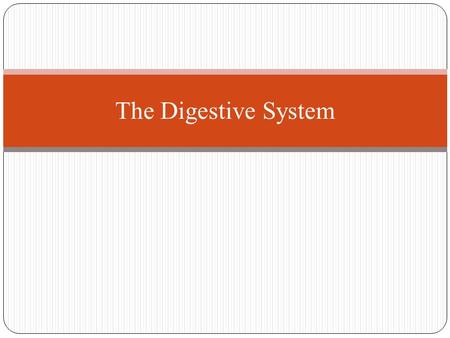 The Digestive System. What is digestion? How is the food we consume digested?